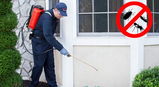 Mudurnu Karınca İlaçlama böcek ilaçlama ve haşere kontrolü — ilaclama-tr.com